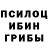 Псилоцибиновые грибы GOLDEN TEACHER K. Lanovoy