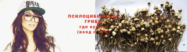 гидропоника Абинск