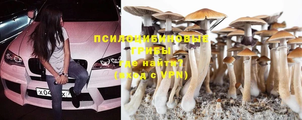 apvp Абдулино